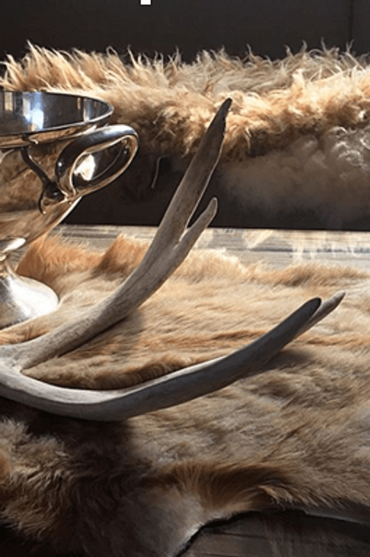 Dekorhorn